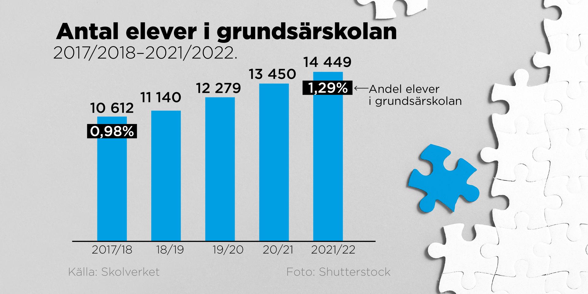 Andelen elever i särskolan har ökat. Det kan finnas flera samverkande orsaker till ökningen, uppger experter som också tror att ökningen kommer att fortsätta.