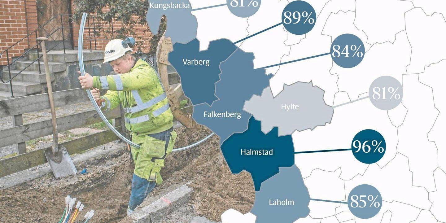 Siffrorna visar andelen hushåll med tillgång till bredband via fiber i de halländska kommunerna. Källa: Post- och telestyrelsen