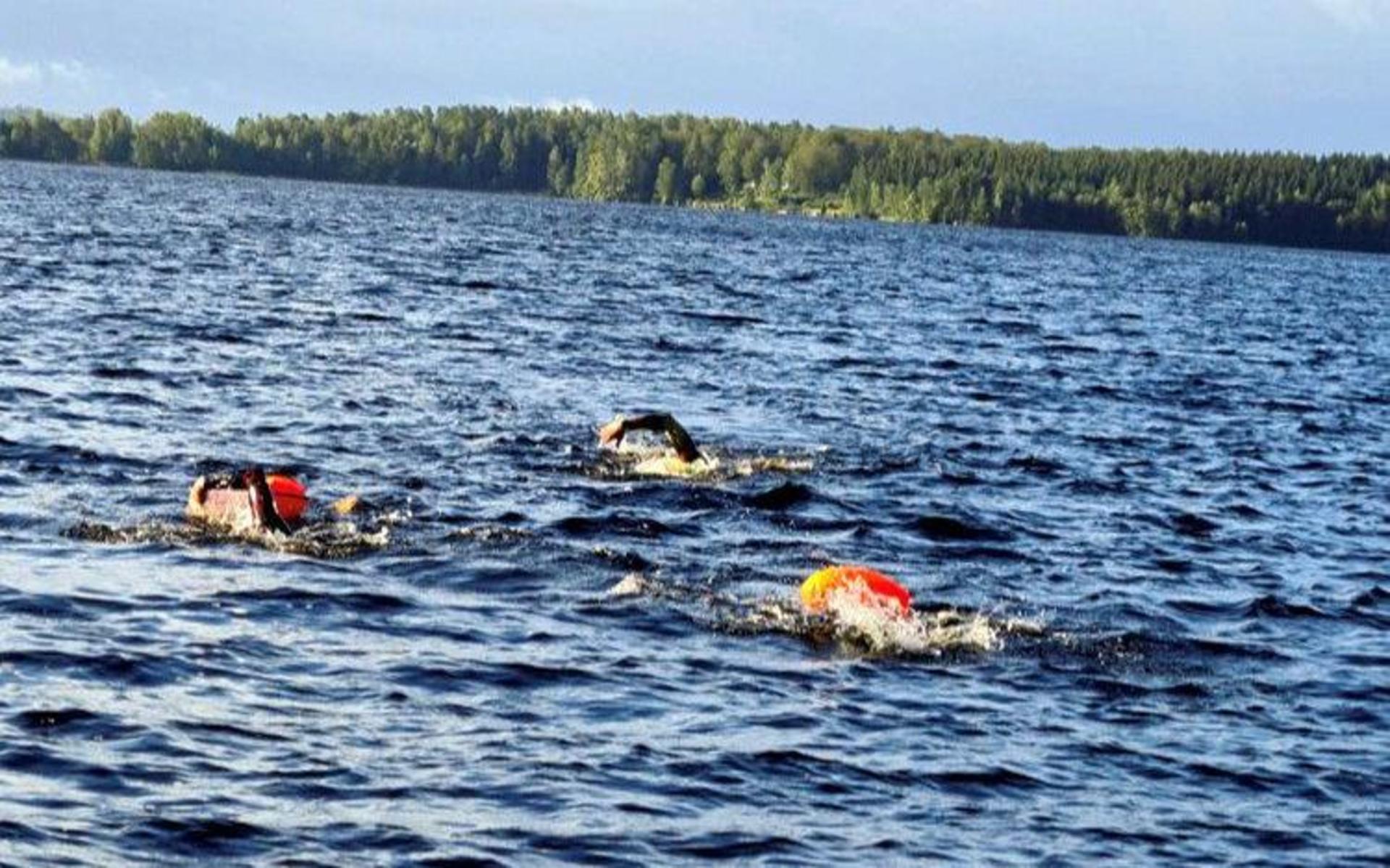 Vännerna Mattias Jonasson, Simon Jansson och Rasmus Ebbesson simmade genom Färgensjöarna, från söder till norr, i 15-gradigt vatten i lördags.