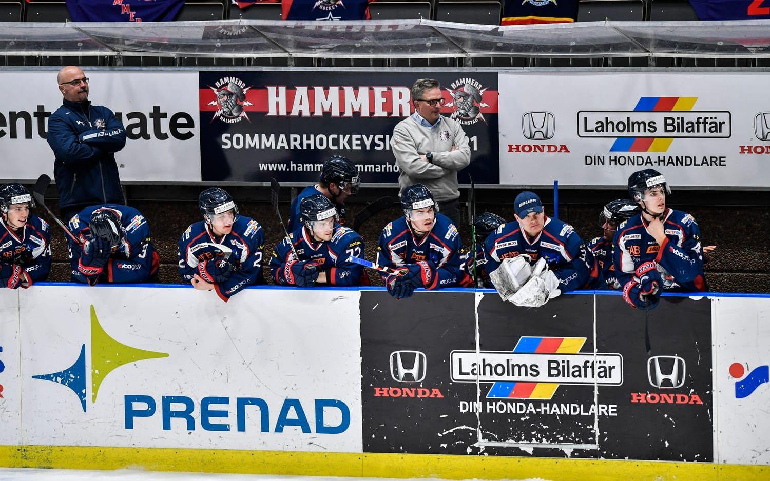 Halmstad Hammers vann mötet mot Kallinge-Ronneby och säkrade Hockeyettankontraktet till nästa säsong.