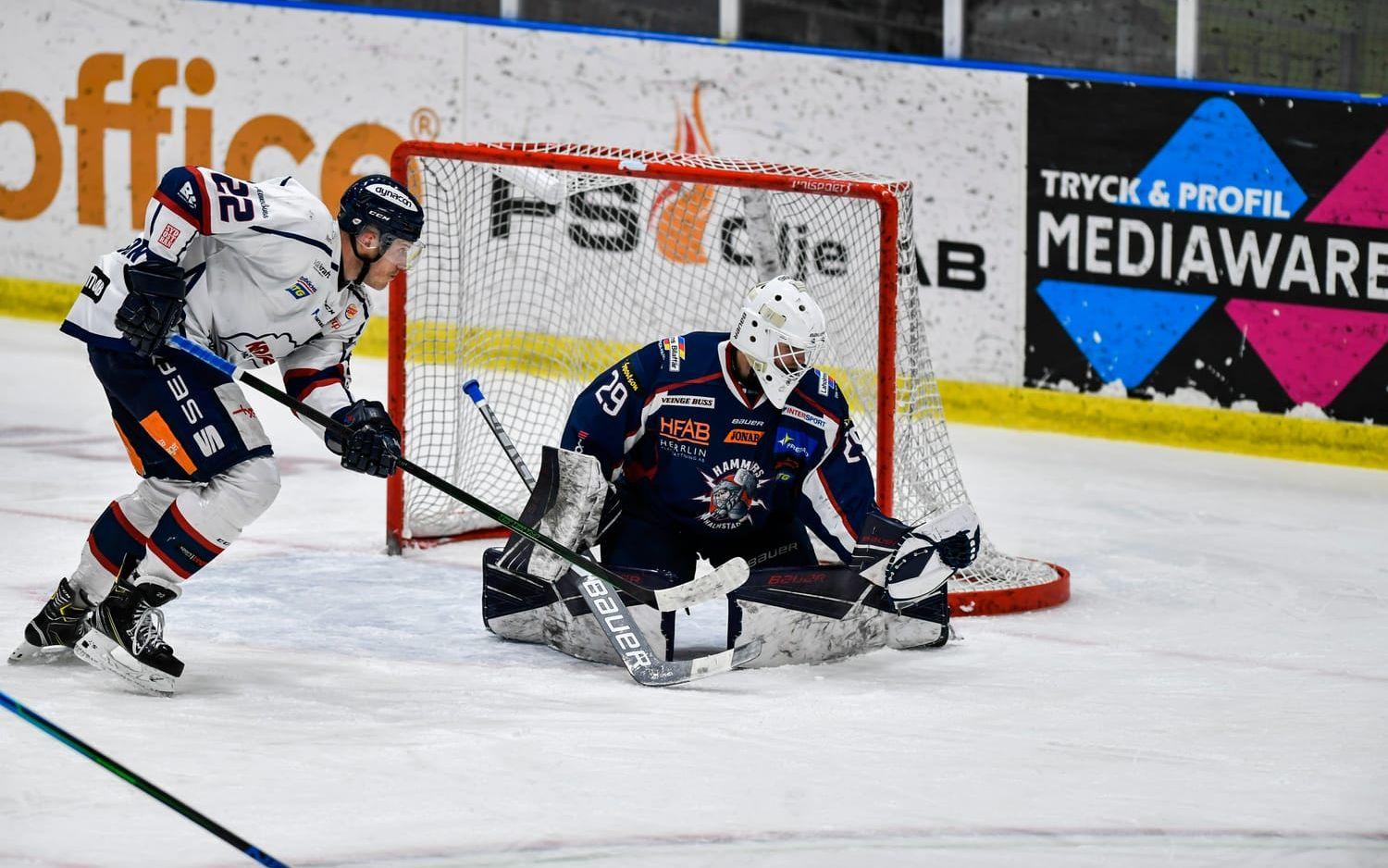 Halmstad Hammers vann mötet mot Kallinge-Ronneby och säkrade Hockeyettankontraktet till nästa säsong.