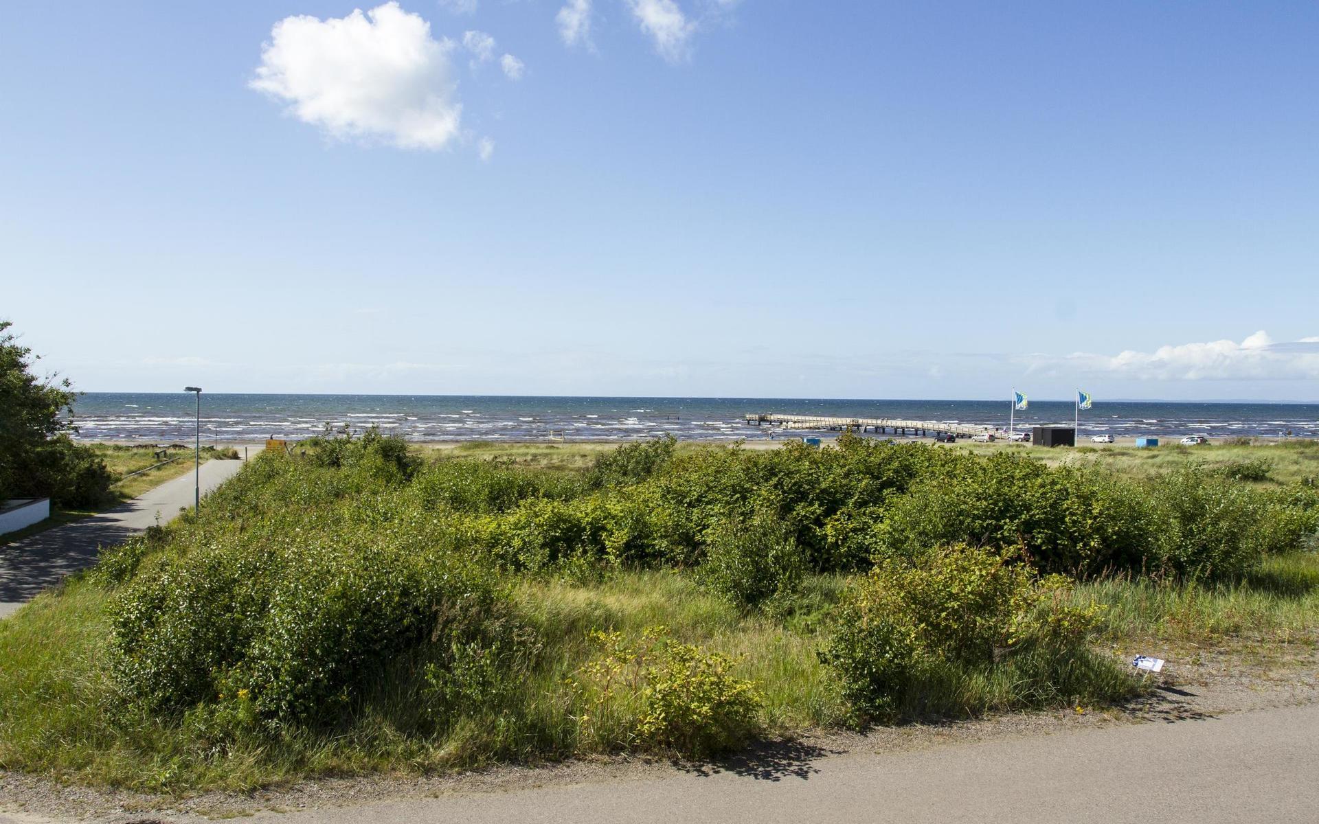 ”Det är ett exklusivt läge, de som har en sådan här tomt släpper den inte billigare” säger Håkan Danfors, fastighetsmäklare som förmedlar Havsbruset 1 en bit från bryggan i Skummeslövsstrand för 6,5 miljoner kronor.