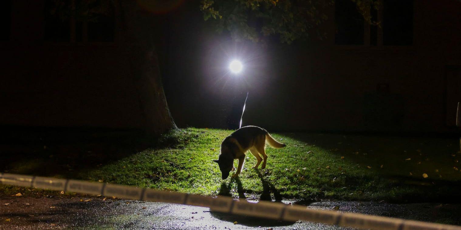 Skribenten diktar om våldsvågen. 