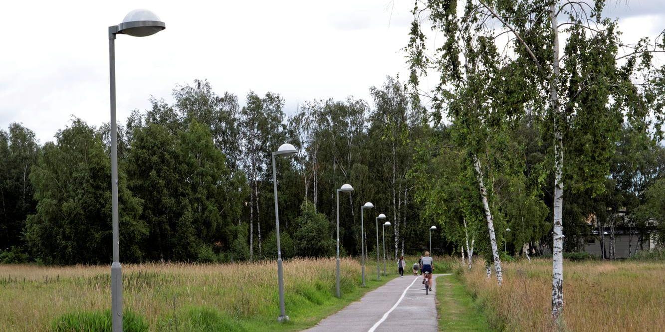 Bygg tak över cykelbanorna och sätt solceller på taken. Fördelarna skulle vara många, tycker skribenten.