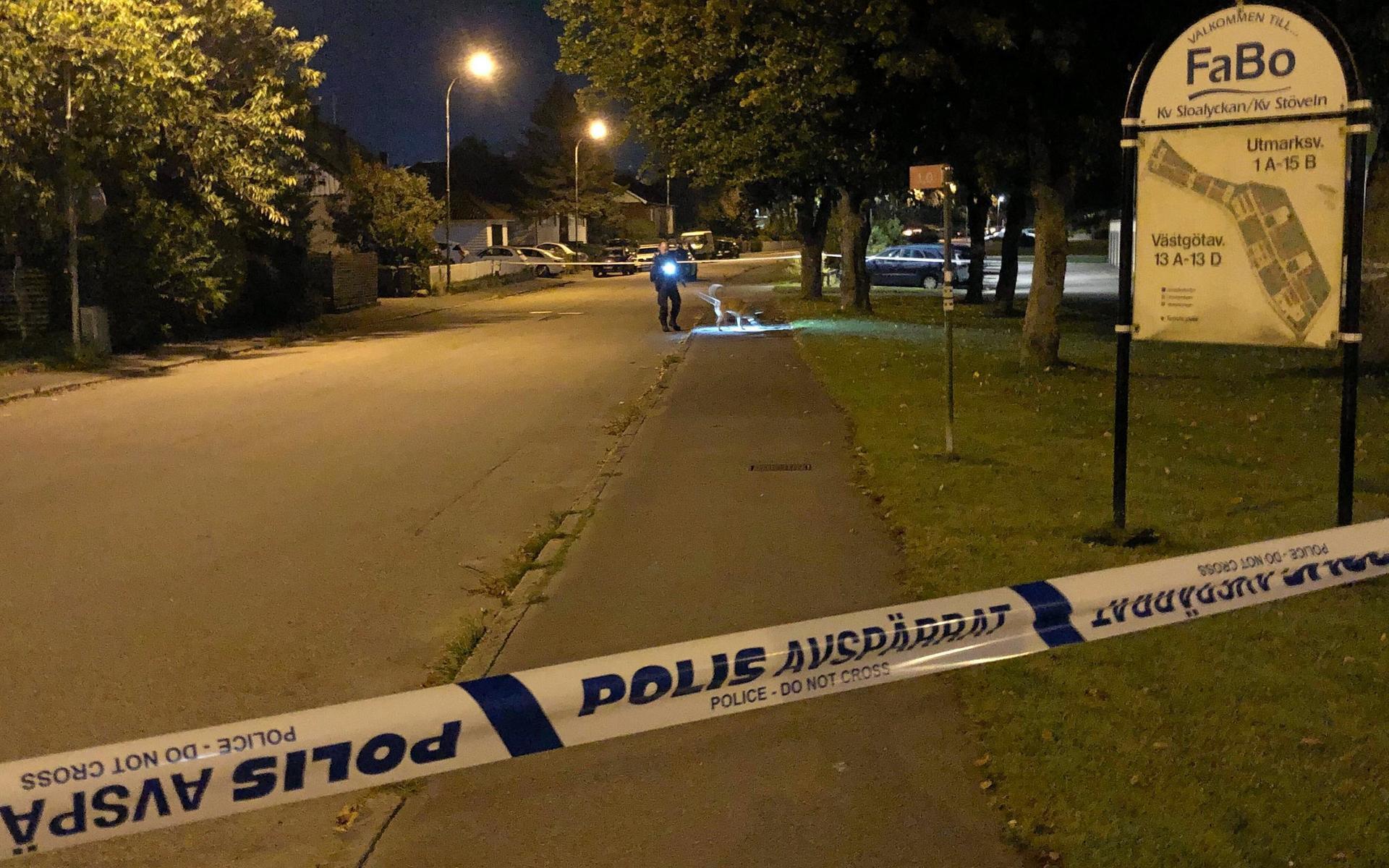 Under natten mot den 1 oktober hördes skottlossning på Sloalyckan. 