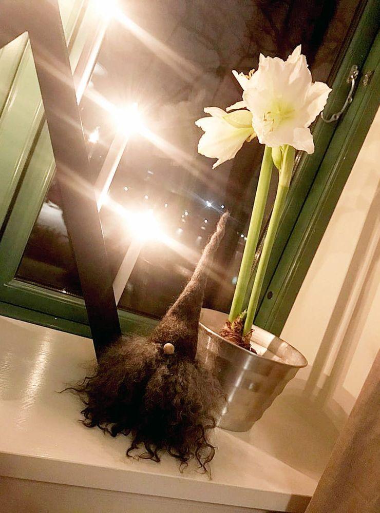 Ljusstake + tomte + amaryllis ≈ julstämning.