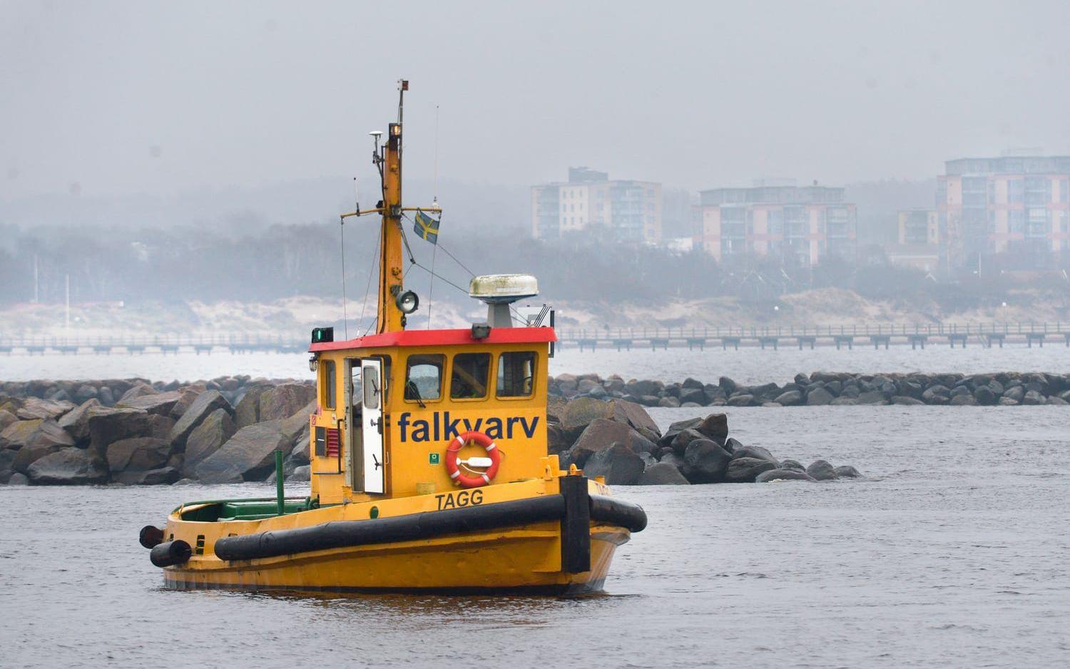 Barken Viking anländer till Falkenberg