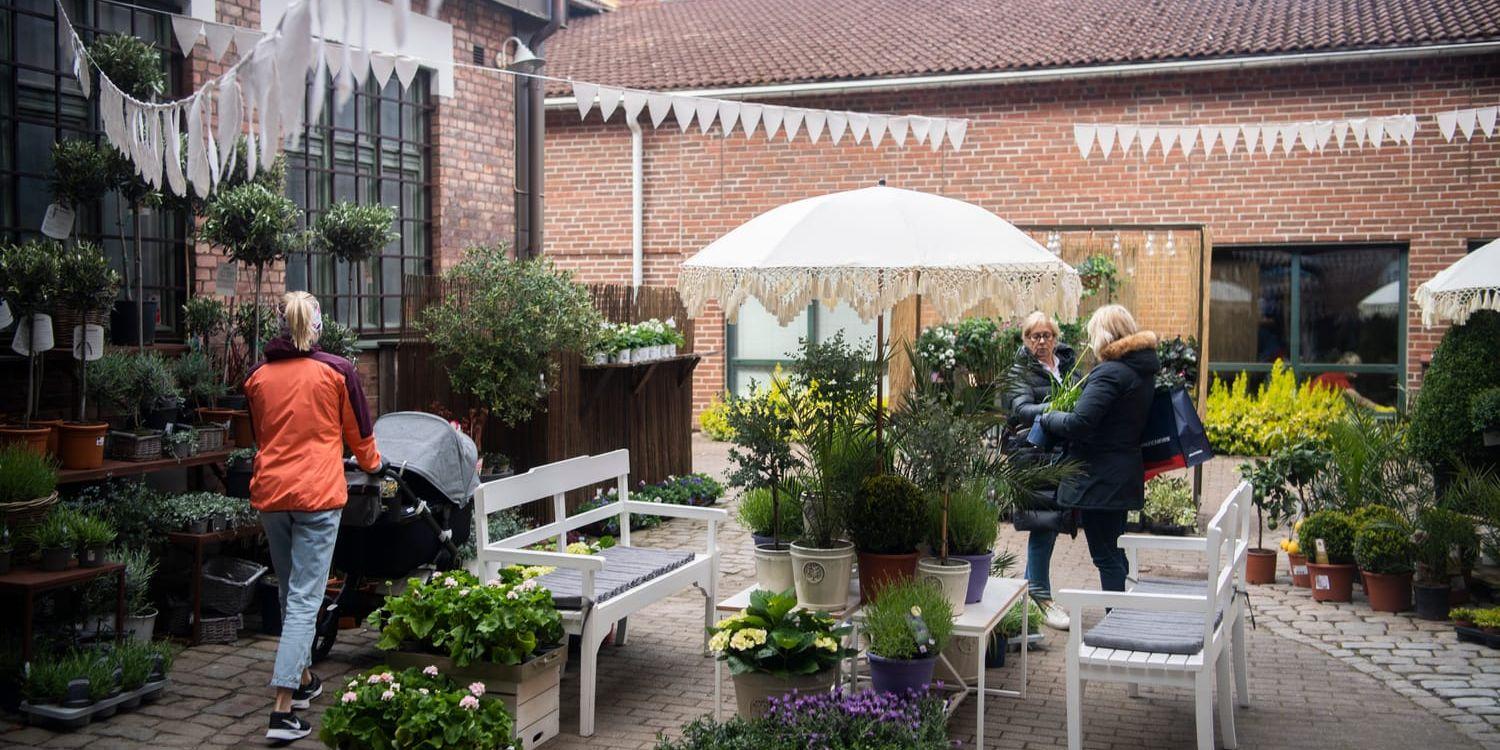 Blommor från oss har etablerat sig på Köpmansgatan under våren. På innergården finns numer en oas av blommor och växter.