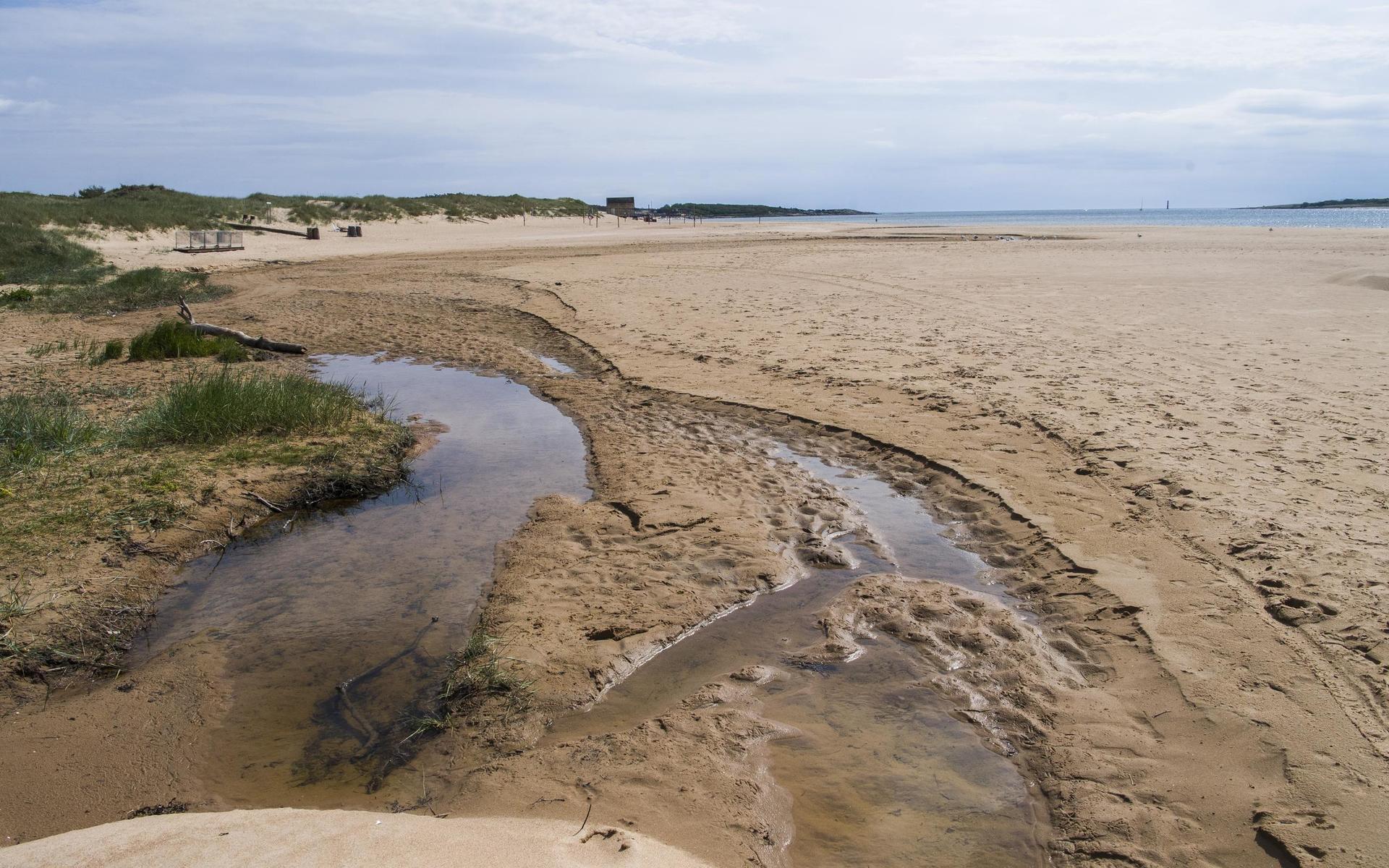 Kommunen har lämnat in en polisanmälan om miljöbrott på Nyrebäcken i Tylösand. Med hjälp av en grävmaskin har någon ändrat på utloppet mot havet till en rak kanal.